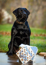 Paws Swedish Cloth