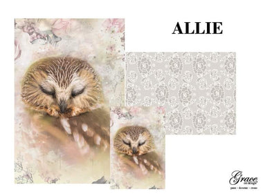 Owlie Decoupage Pack